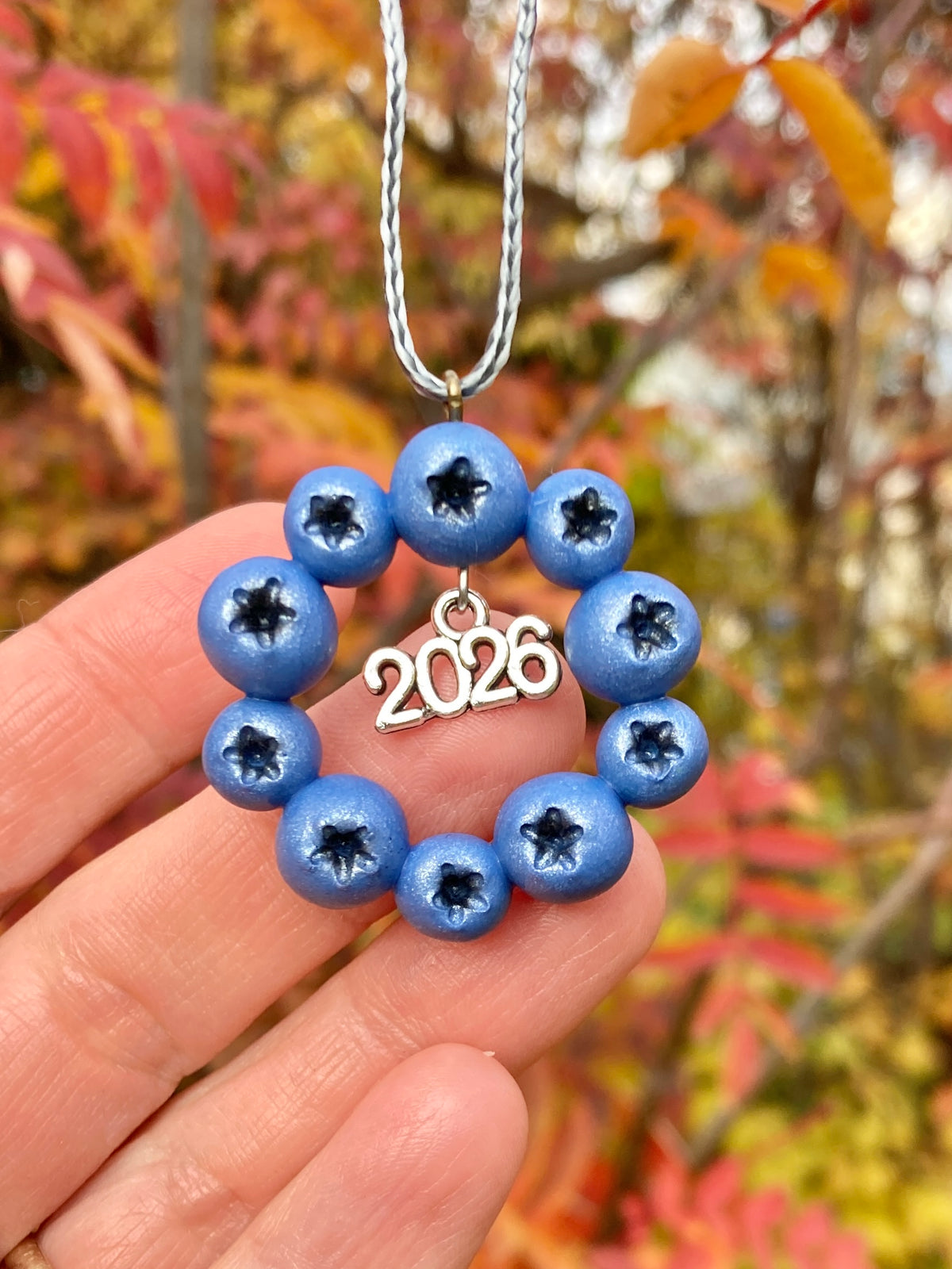 2026 Blueberry Wreath Ornament