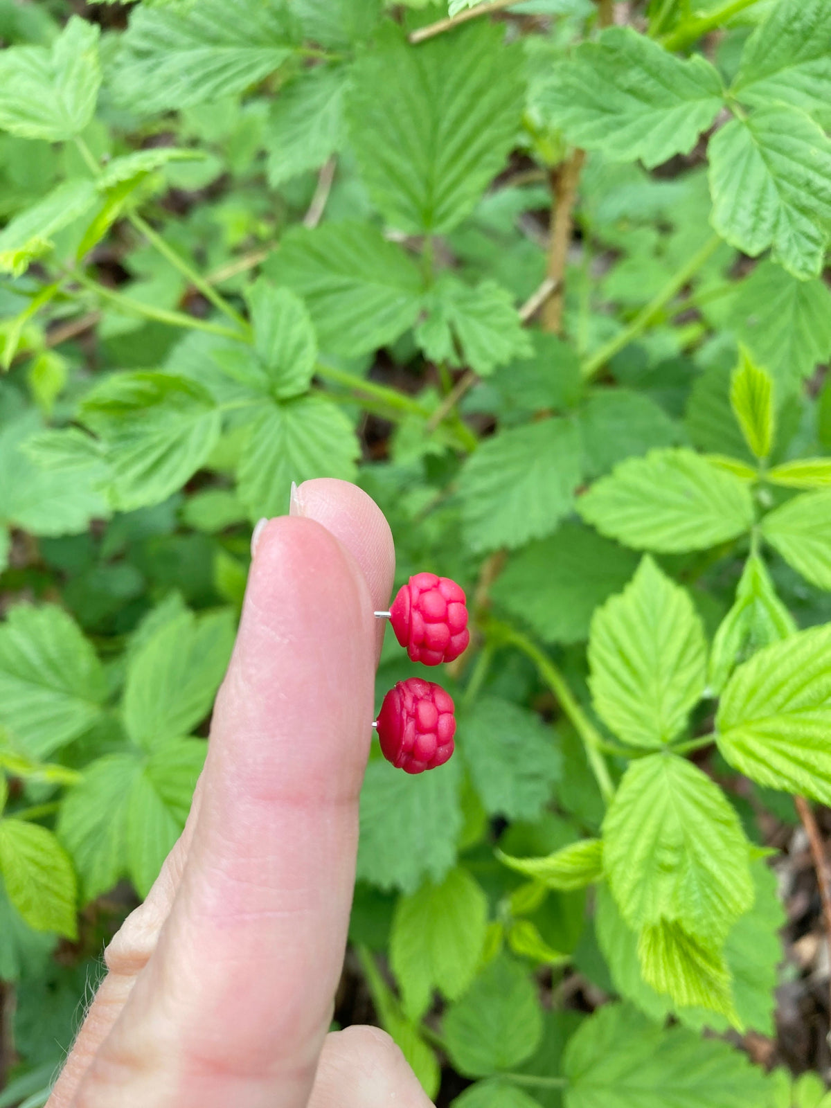 Raspberry Stud Earrings | Dainty Realistic Fruit Earrings